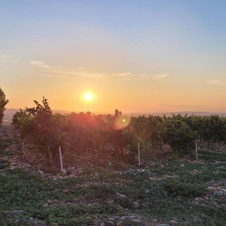 Le Willow Châteauneuf-du-Pape Zewnętrze zdjęcie