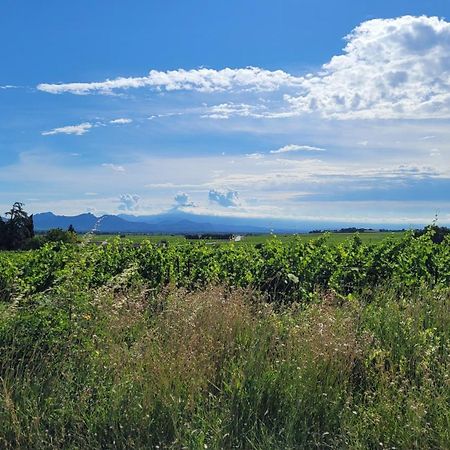 Le Willow Châteauneuf-du-Pape Zewnętrze zdjęcie