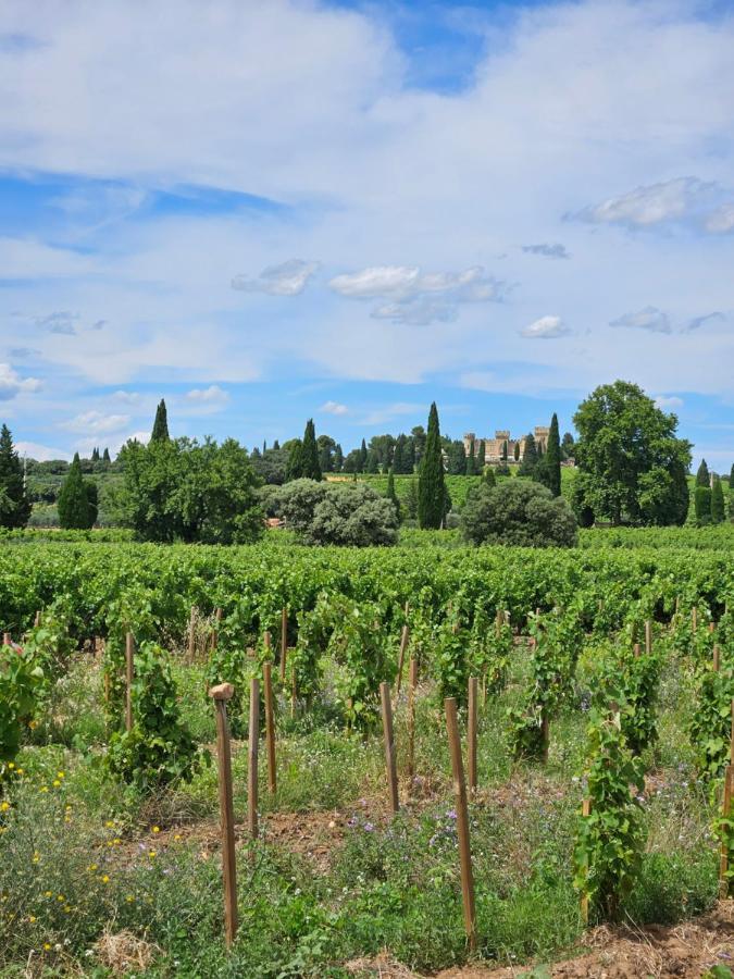 Le Willow Châteauneuf-du-Pape Zewnętrze zdjęcie